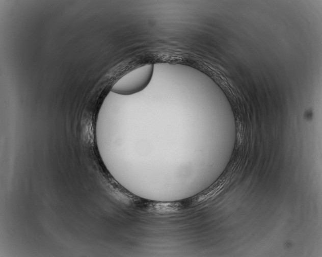 X0000100870622200806200904