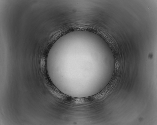 X0000100870623200806200904