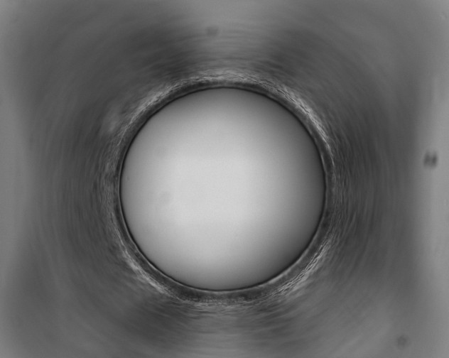 X0000100870625200806200903