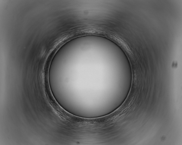 X0000100870626200806200903