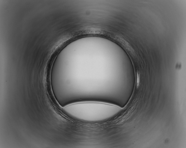X0000100870627200806200903