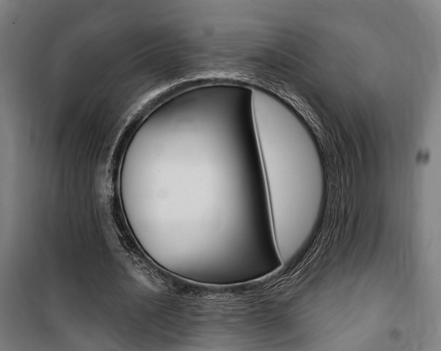 X0000100870628200806200903