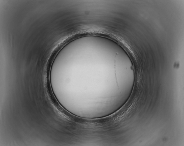 X0000100870629200806200903