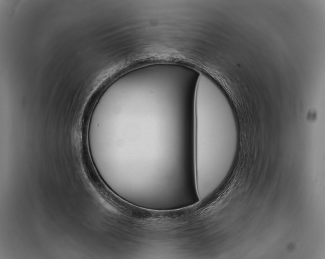 X0000100870630200806200903