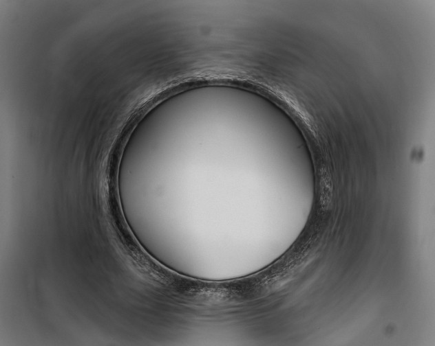 X0000100870631200806200903