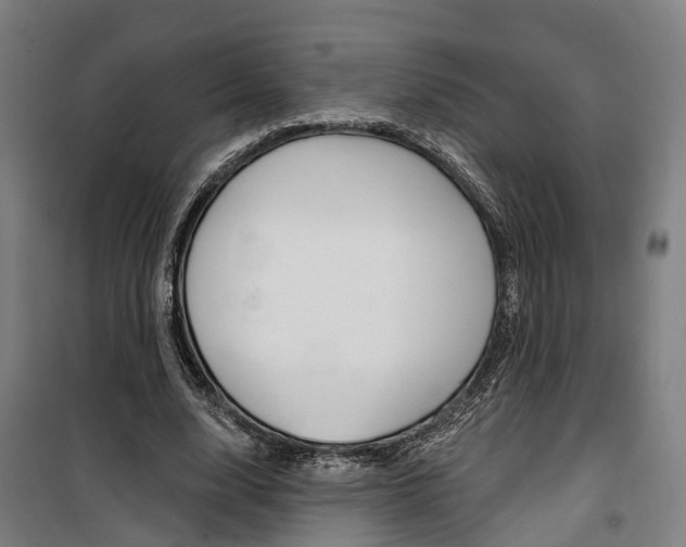 X0000100870632200806200903