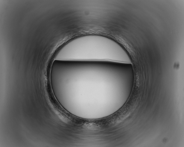X0000100870634200806200903