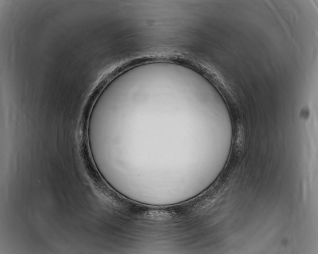 X0000100870636200806200903