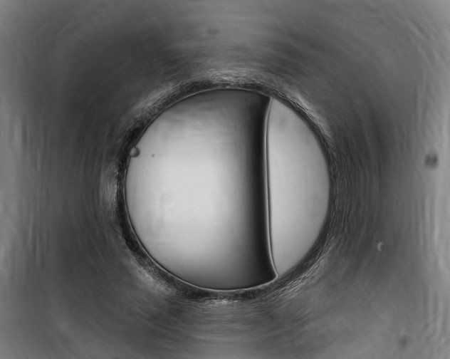 X0000100870637200806200903