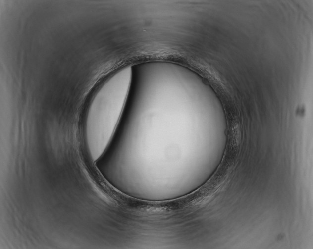 X0000100870638200806200903