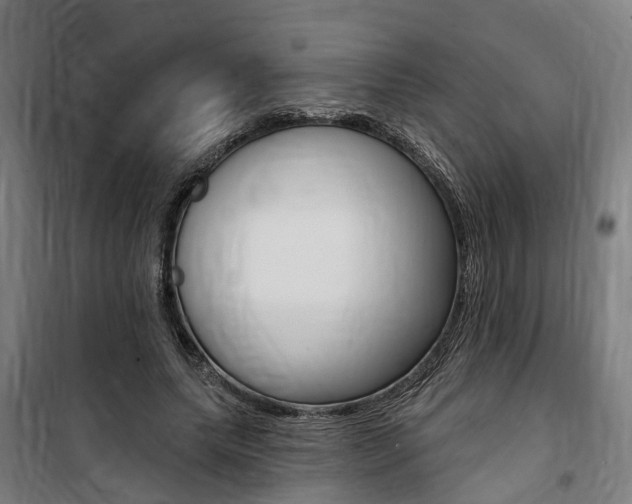 X0000100870639200806200904