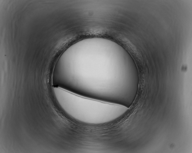 X0000100870640200806200904
