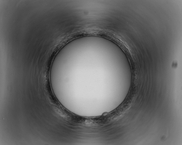 X0000100870641200806200904