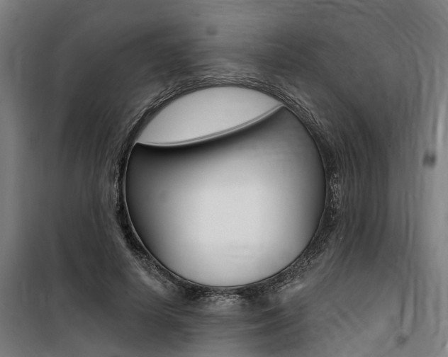X0000100870642200806200904