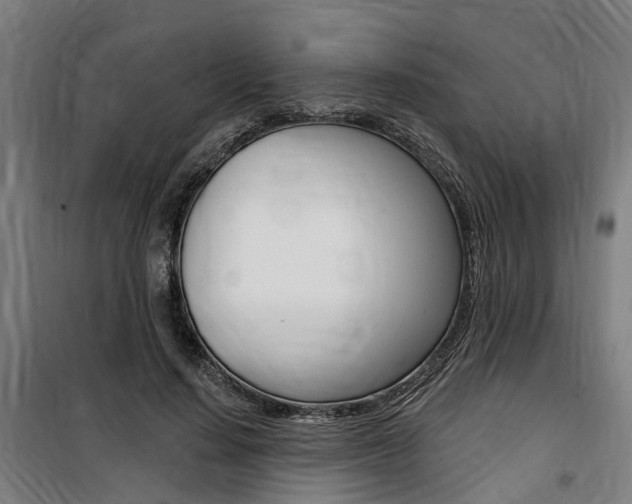 X0000100870644200806200904