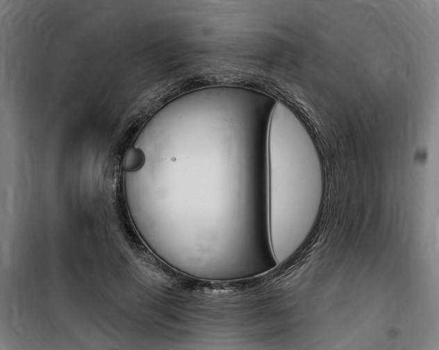 X0000100870645200806200904