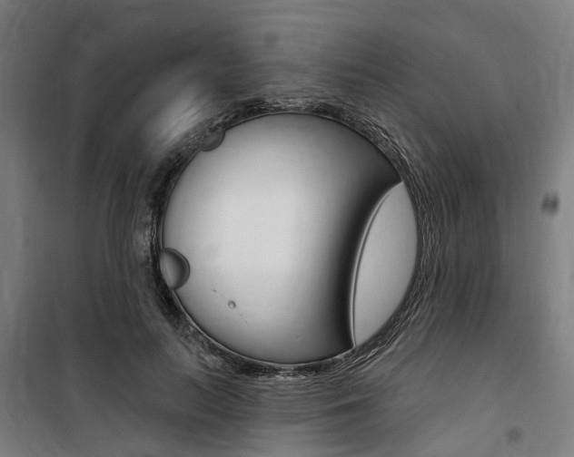 X0000100870647200806200904