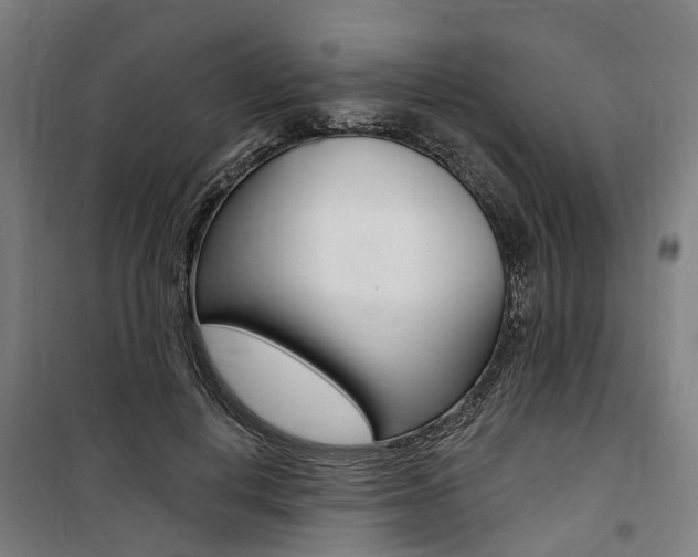 X0000100870648200806200904