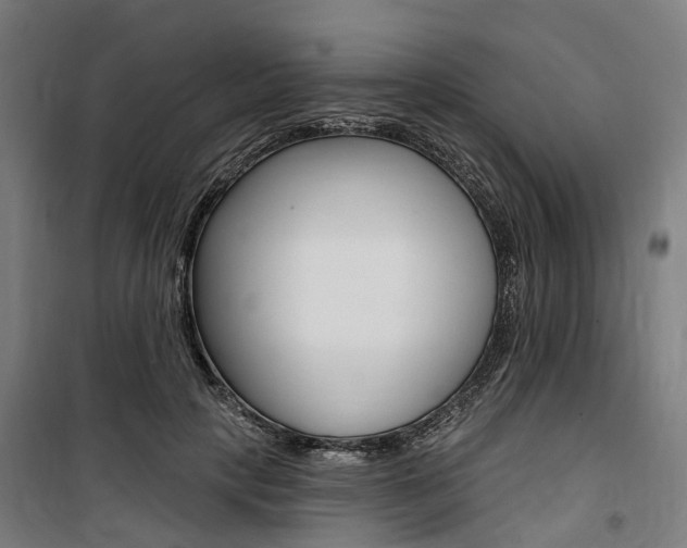 X0000100870649200806200904