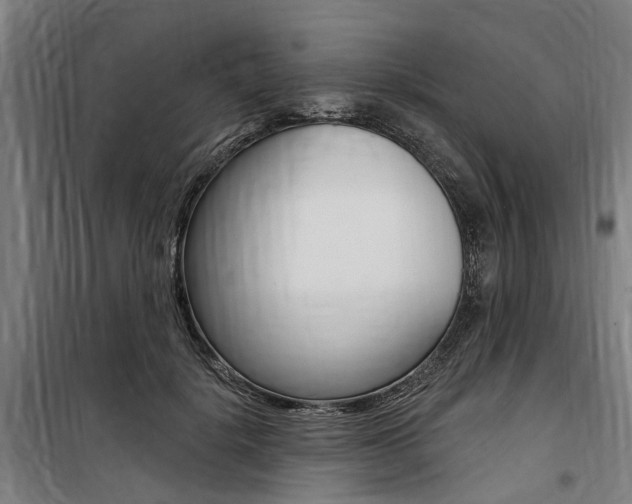 X0000100870652200806200904