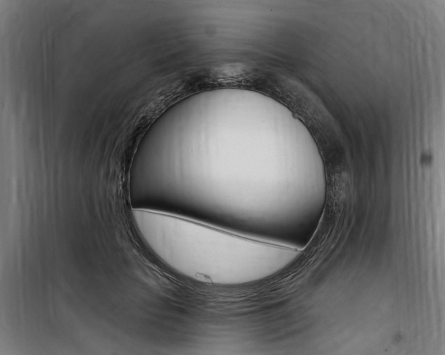 X0000100870653200806200904