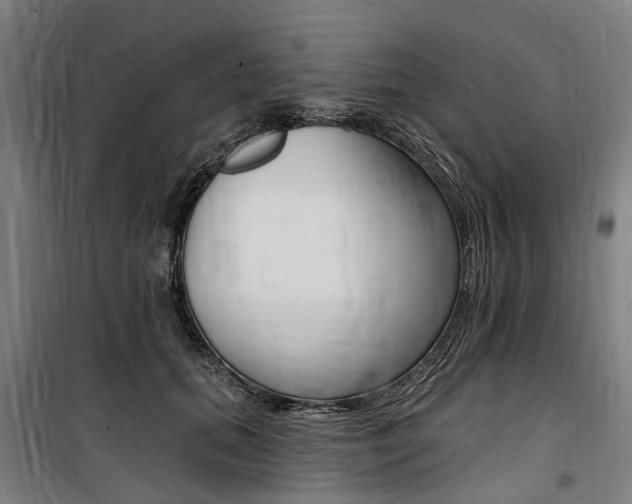 X0000100870655200806200904