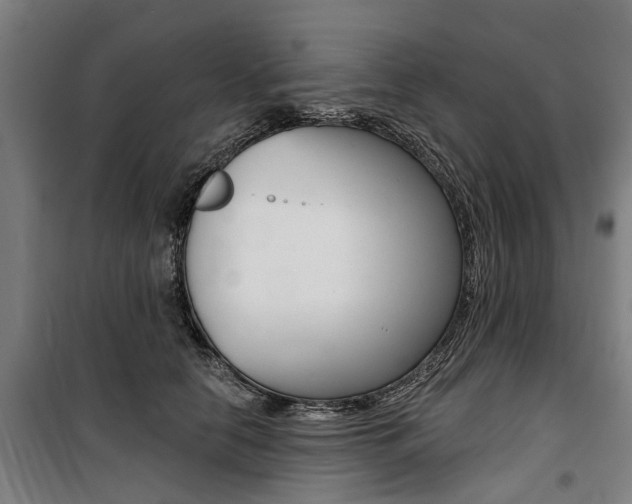 X0000100870658200806200904