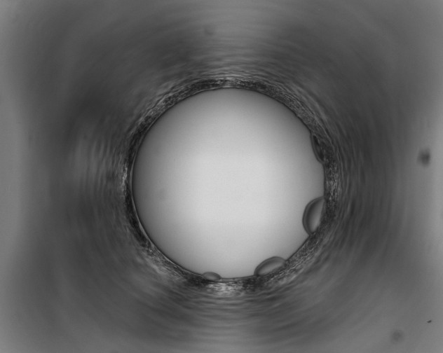 X0000100870660200806200904