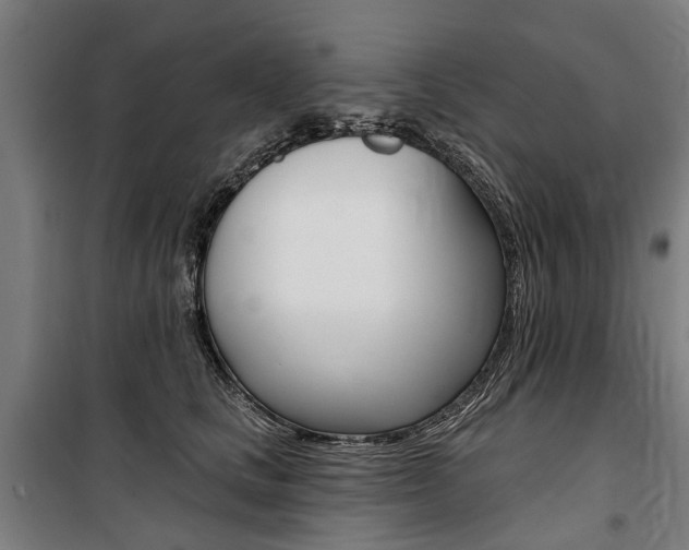 X0000100870661200806200904