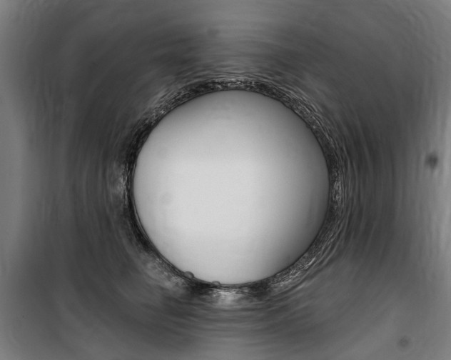 X0000100870662200806200904