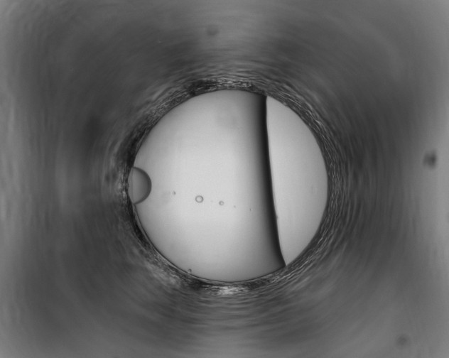 X0000100870663200806200904