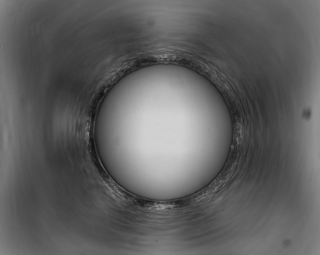 X0000100870664200806200904