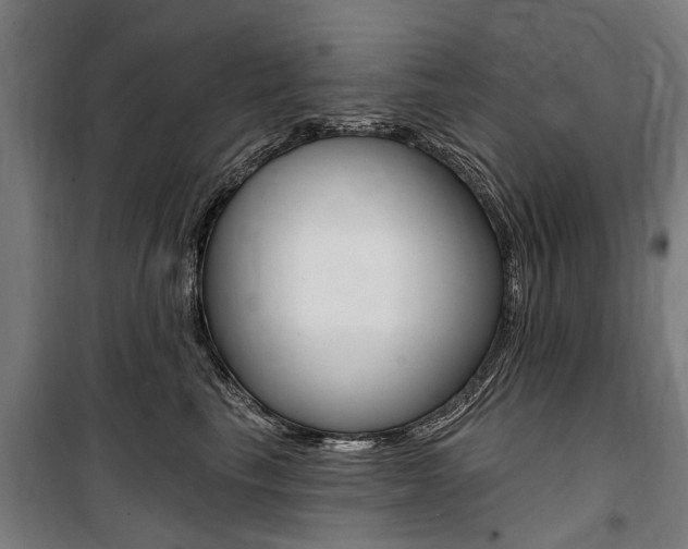 X0000100870665200806200904