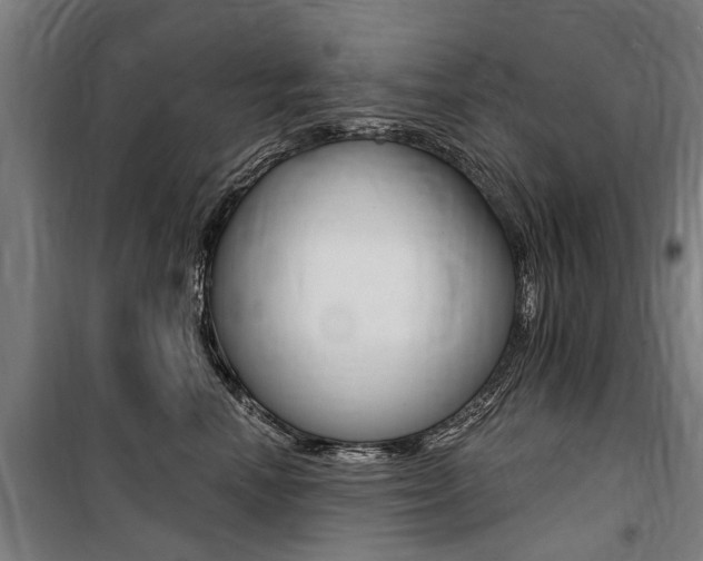 X0000100870666200806200904