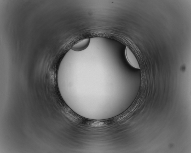 X0000100870669200806200904