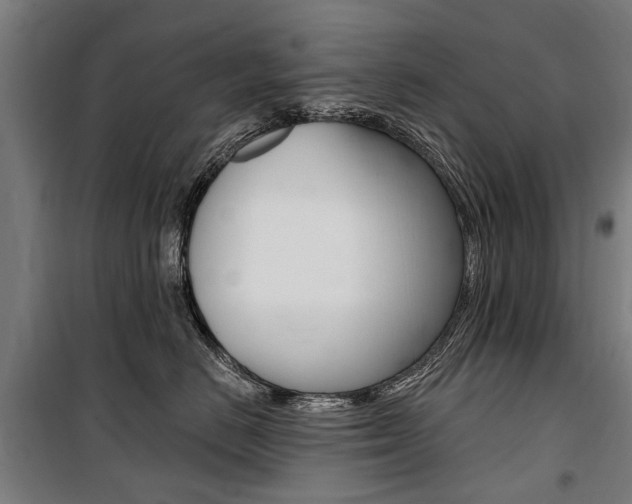 X0000100870670200806200904
