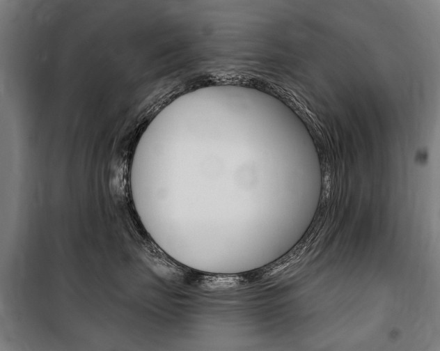 X0000100870671200806200904