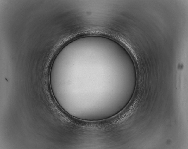 X0000100870673200806200903