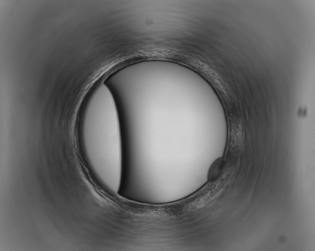 X0000100870674200806200903