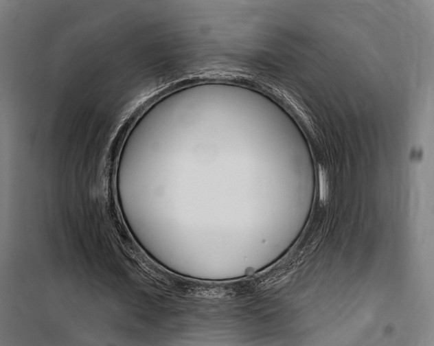 X0000100870675200806200903