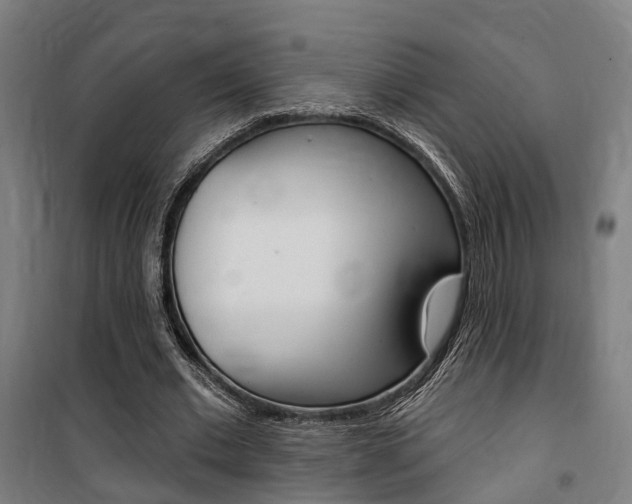 X0000100870677200806200903