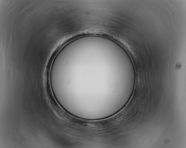 X0000100870678200806200903