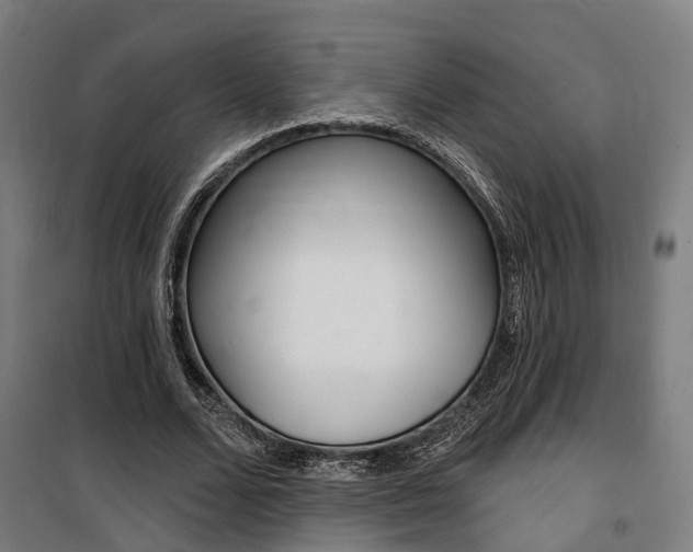 X0000100870680200806200903
