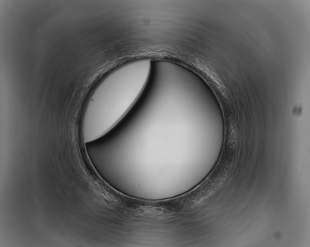 X0000100870681200806200903