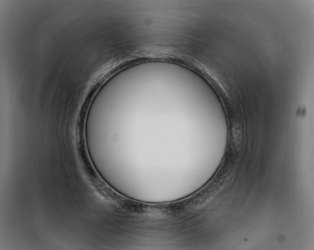 X0000100870682200806200903