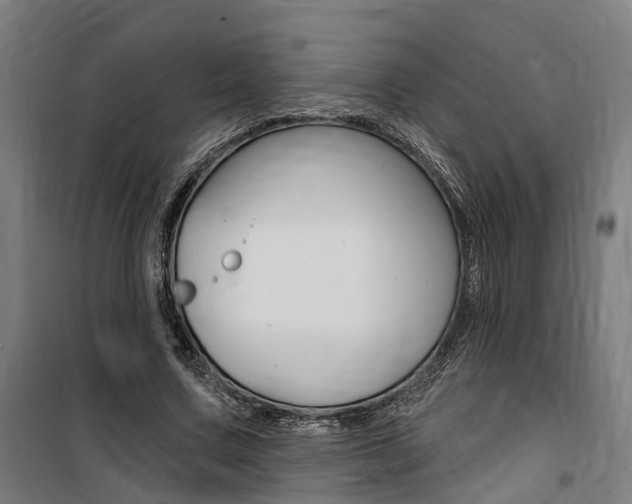 X0000100870683200806200903