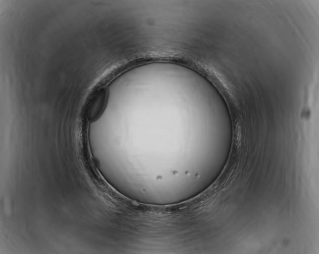 X0000100870684200806200903