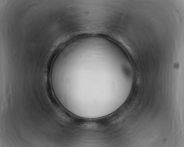X0000100870685200806200903