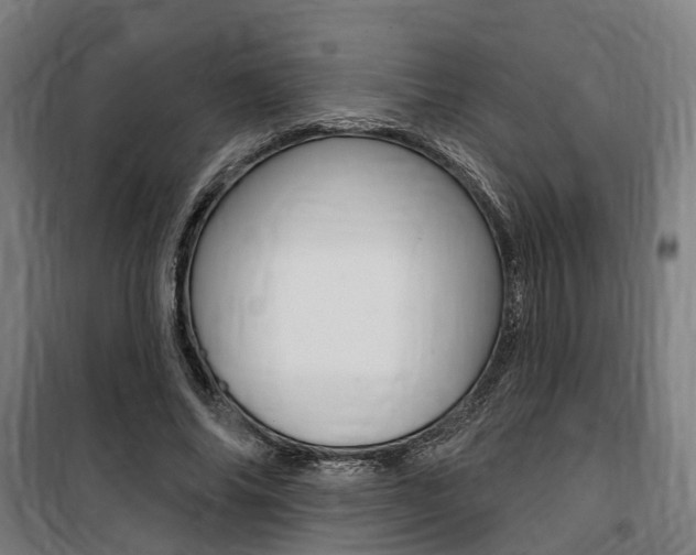X0000100870686200806200903