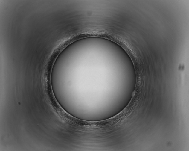 X0000100870688200806200903